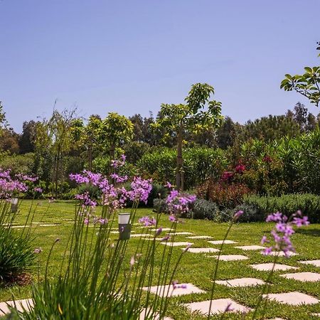 Mear Holiday Homes - Cretan Summer Getaways Kountoura Selino Eksteriør bilde