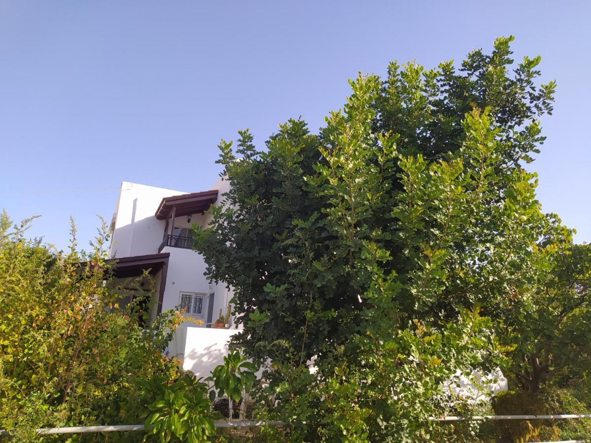 Mear Holiday Homes - Cretan Summer Getaways Kountoura Selino Eksteriør bilde