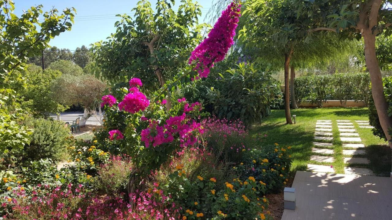 Mear Holiday Homes - Cretan Summer Getaways Kountoura Selino Eksteriør bilde
